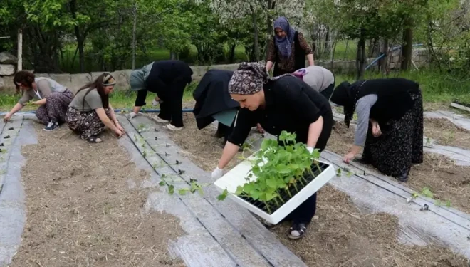 Edremit’te Kadın Komün Bostanları büyüyor