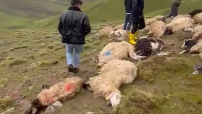 Van’da sürüye yıldırım isabet etti