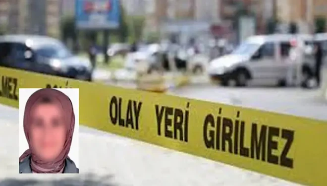 Van'daki kazada çobanın ölümüne neden olan avukata...
