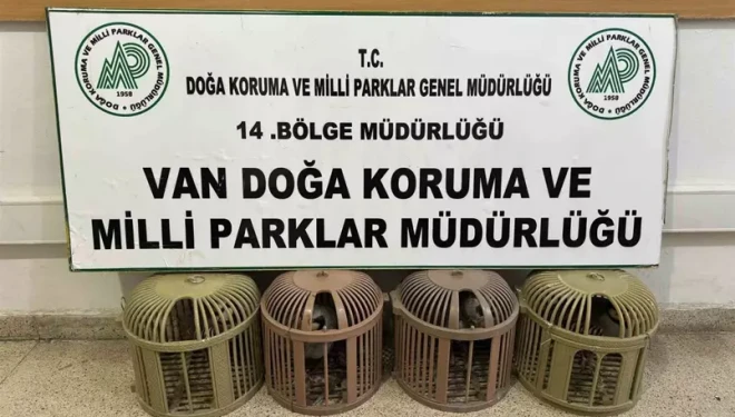 Van’da kaçak avcılığa 51 bin 878 TL ceza