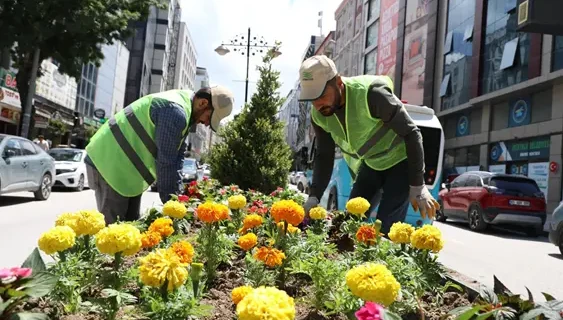 Van Büyükşehir'den caddelere renkli dokunuş