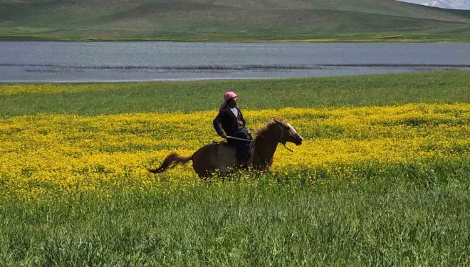 Van’da bir yanda çiçekler