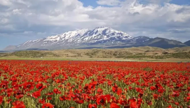 15'inci Süphan Dağı Zirve Tırmanışı düzenlenecek