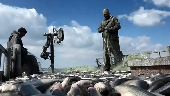 Van'da av yasağı bitti, balıkçılar ‘Vira bismillah’ diyerek ağlarını göle attı