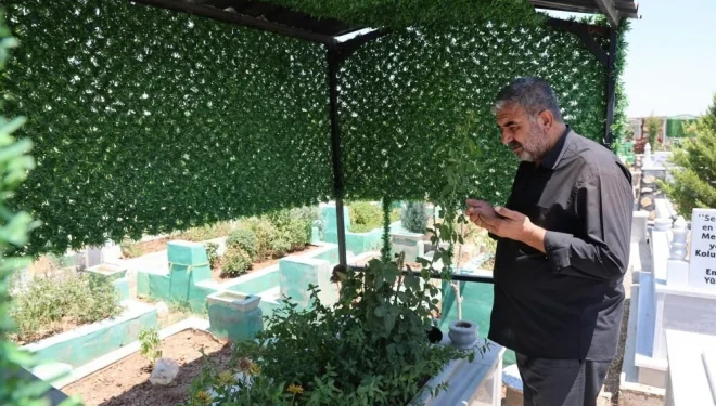 Rojin Kabaiş’le ilgili yeni gelişme