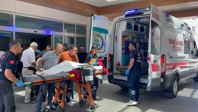 Köpek dehşeti: 3 yaşındaki çocuk ağır yaralandı