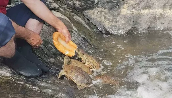Doğa Fotoğrafçısı