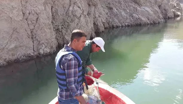 Van’da sazangiller av yasağı sona erdi
