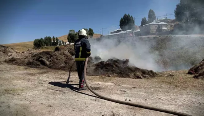 Çaldıran'da ot yangını