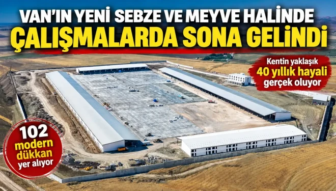 Sebze halinde çalışmalarda sona gelindi