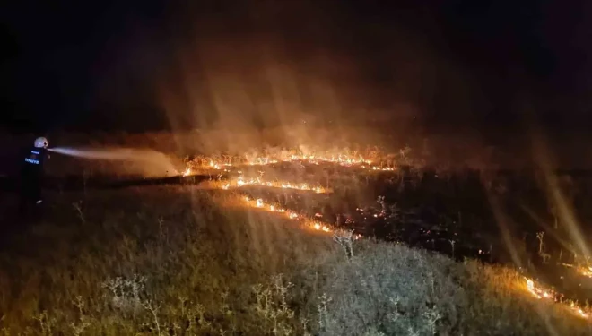 Van’da örtü üstü yangını