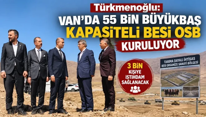 Türkmenoğlu: Van’da 55 bin büyükbaş kapasiteli Besi OSB kuruluyor