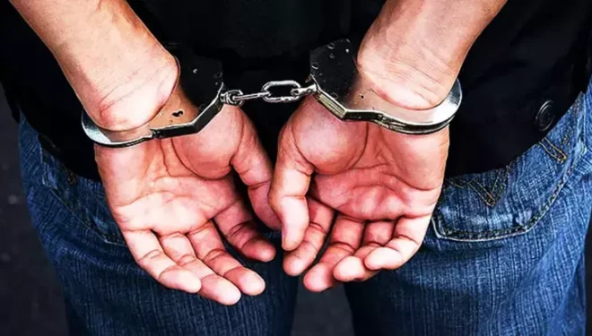 Van merkezli 4 ilde 'bilirkişi' operasyonu: 4 tutuklama