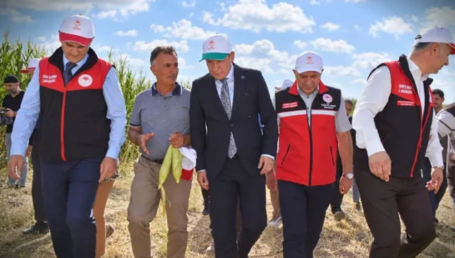 Tuşba’da "Silajlık Mısır Hasadı Tarla Günü" düzenlendi