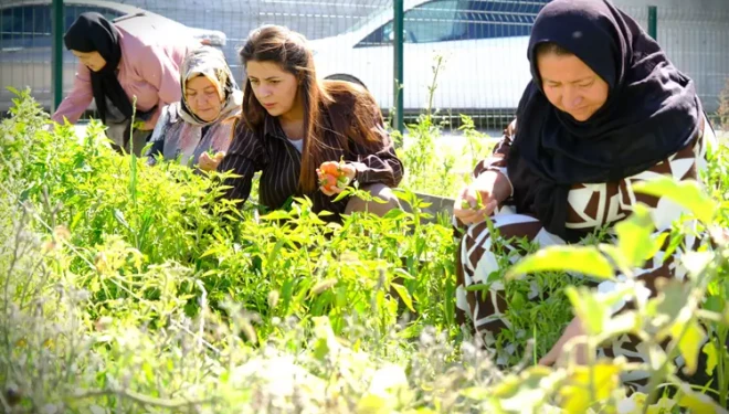 Eşbaşkan Uzunay, bostanda kadınlarla bir araya geldi
