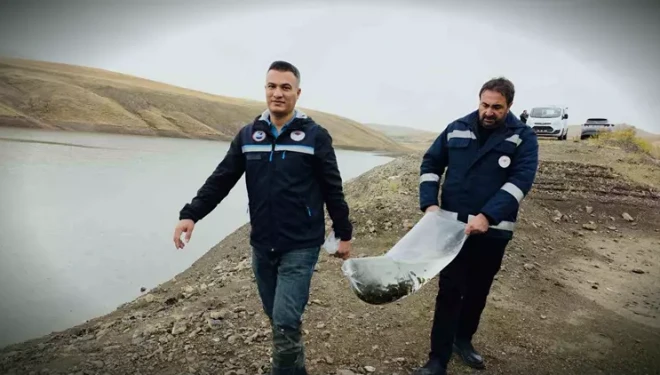 Van’ın su ürünleri sektöründen ekonomiye 25 milyon dolarlık katkı