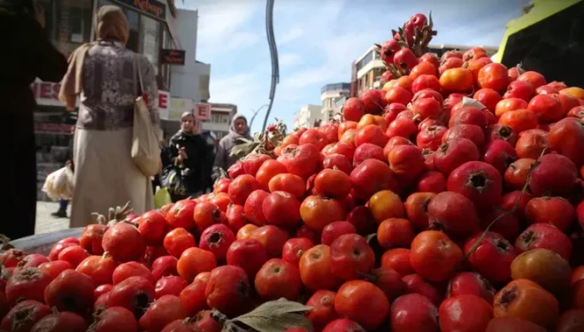 Van dağlarının doğal şifa kaynağı alıç