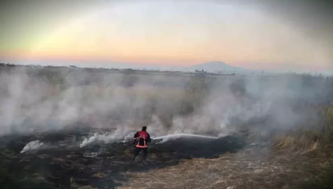 Van’da sazlık alanda yangın