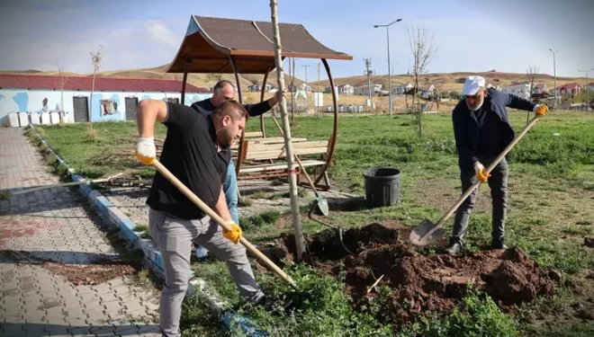 Mavi Bayraklı Halk Plajı’nda ağaçlandırma çalışması