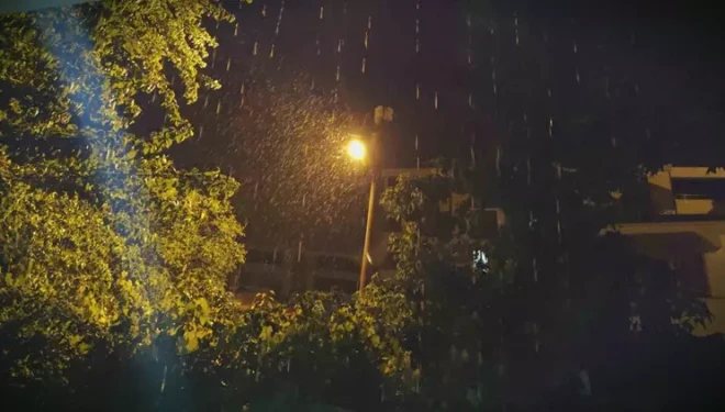 Erciş’te şiddetli yağmur etkili oldu