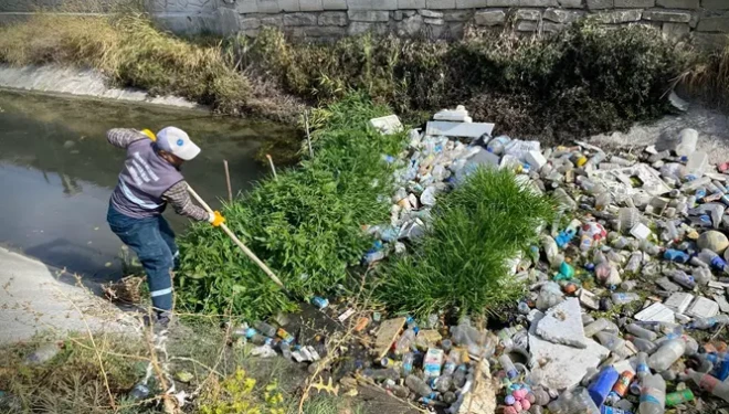İpekyolu Belediyesi'nden kanal temizliği