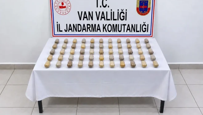 Midesinde ve bağırsaklarında
