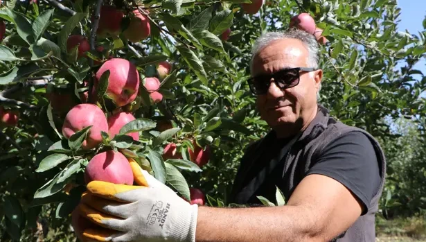Akademisyen aile öncülük etti, Van elması sınırları aştı
