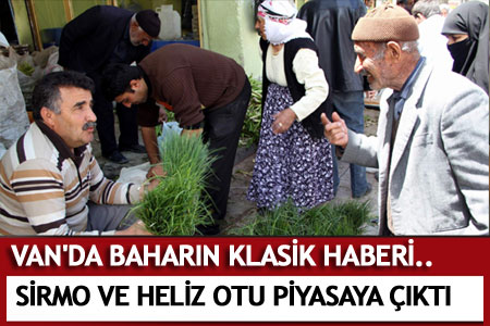 Van'da sirmo ve heliz çıktı