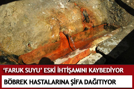 'Faruk Suyu' Eski İhtişamını Kaybediyor - Van Haberleri