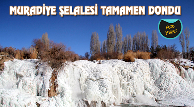 Muradiye Şelalesi Tamamen Dondu