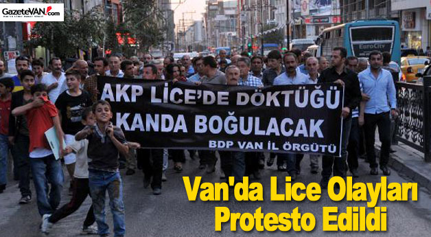 Van'da Lice Olayları Protesto Edildi