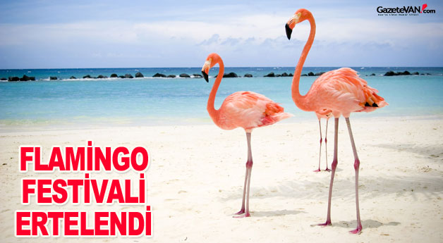 5.Flamingo Festivali Ertelendi
