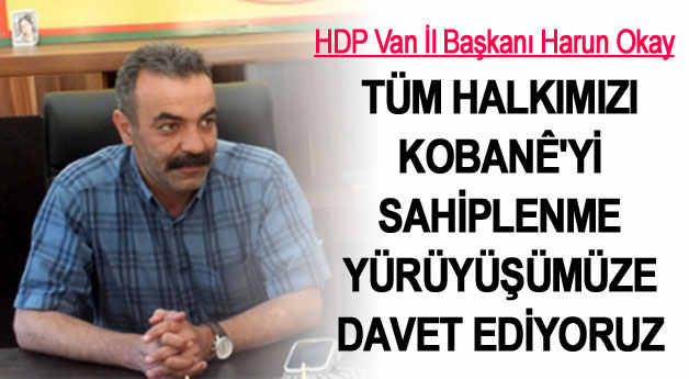 HDP Van İl Başkanı Harun Okay'dan 1 Kasım Çağrısı