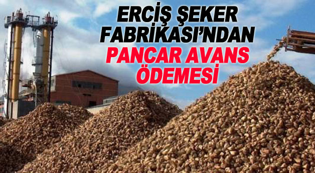 Erciş Şeker Fabrikası'ndan Pancar Avans Ödemesi