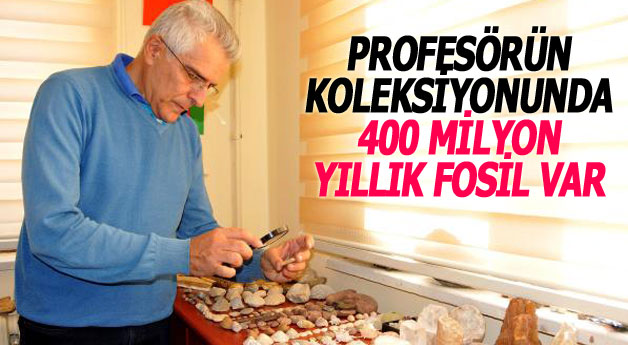 Profesörün Koleksiyonunda 400 Milyon Yıllık Fosil Var