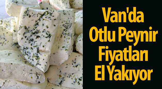 Van'da Otlu Peynir Fiyatları El Yakıyor