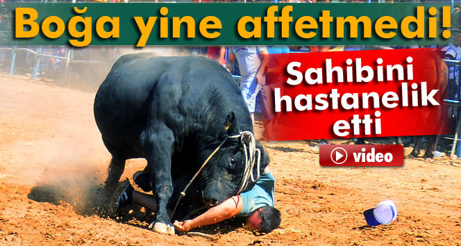 Boğa yine affetmedi!