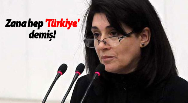 Zana hep 'Türkiye' demiş!