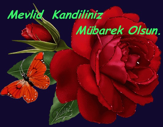 Mübarek Mevlid Kandili nedir? ve Ne Zamandır?