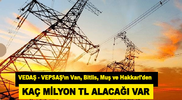 Vedaş Ve Vepsaş'ın 280 Milyon Tl Alacağı Var