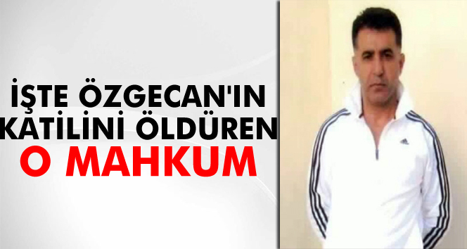 ozgecan in katilini olduren gultekin alan kimdir