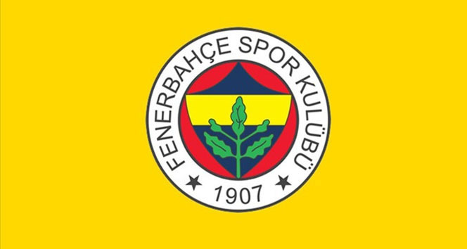 Fenerbahçe'den bir transfer daha Neustadter kimdir?
