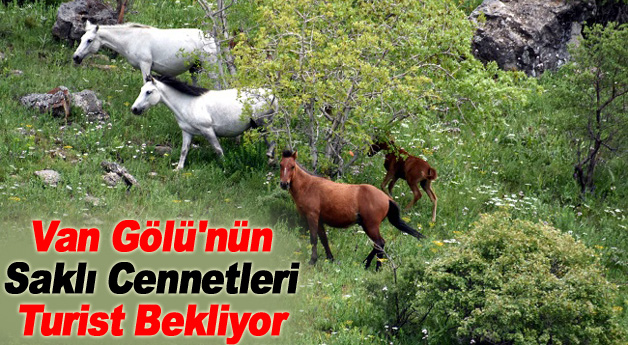 Van Gölü'nün Saklı Cennetleri Turist Bekliyor