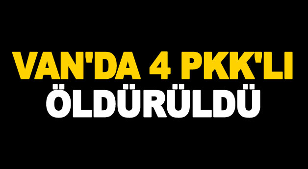 Van'ın Başkale ilçesi'nde 4 PKK'lı öldürüldü