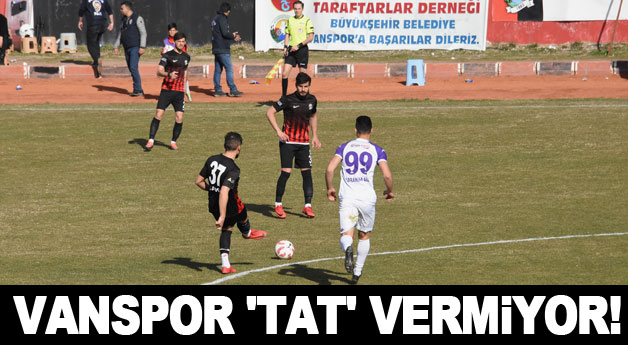 Van Büyükşehir Belediyespor - Yeni Orduspor Kulübü: 1-2