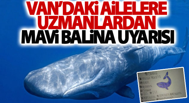 Van’daki Ailelere uzmanlardan Mavi Balina uyarısı 