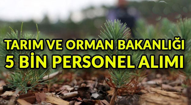 Beş bin personel alınacak! 