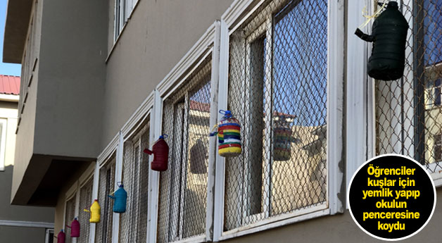 Van'da öğrenciler kuşlar aç kalmasın diye...