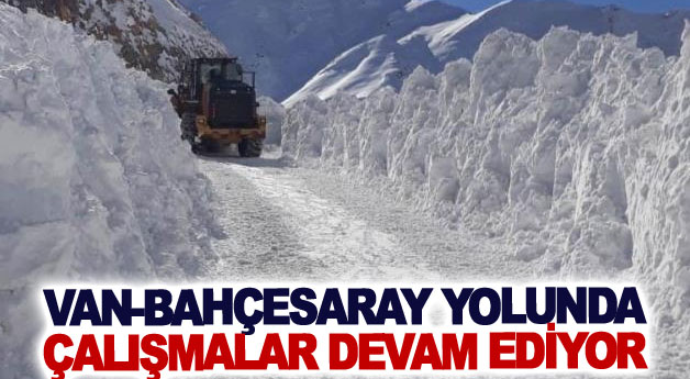 Van-Bahçesaray yolunda çalışmalar devam ediyor