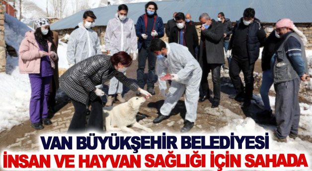 Van Büyükşehir Belediyesi insan ve hayvan sağlığı için sahada